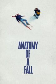 Bir Düşüşün Anatomisi izle