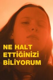 Ne Halt Ettiğinizi Biliyorum